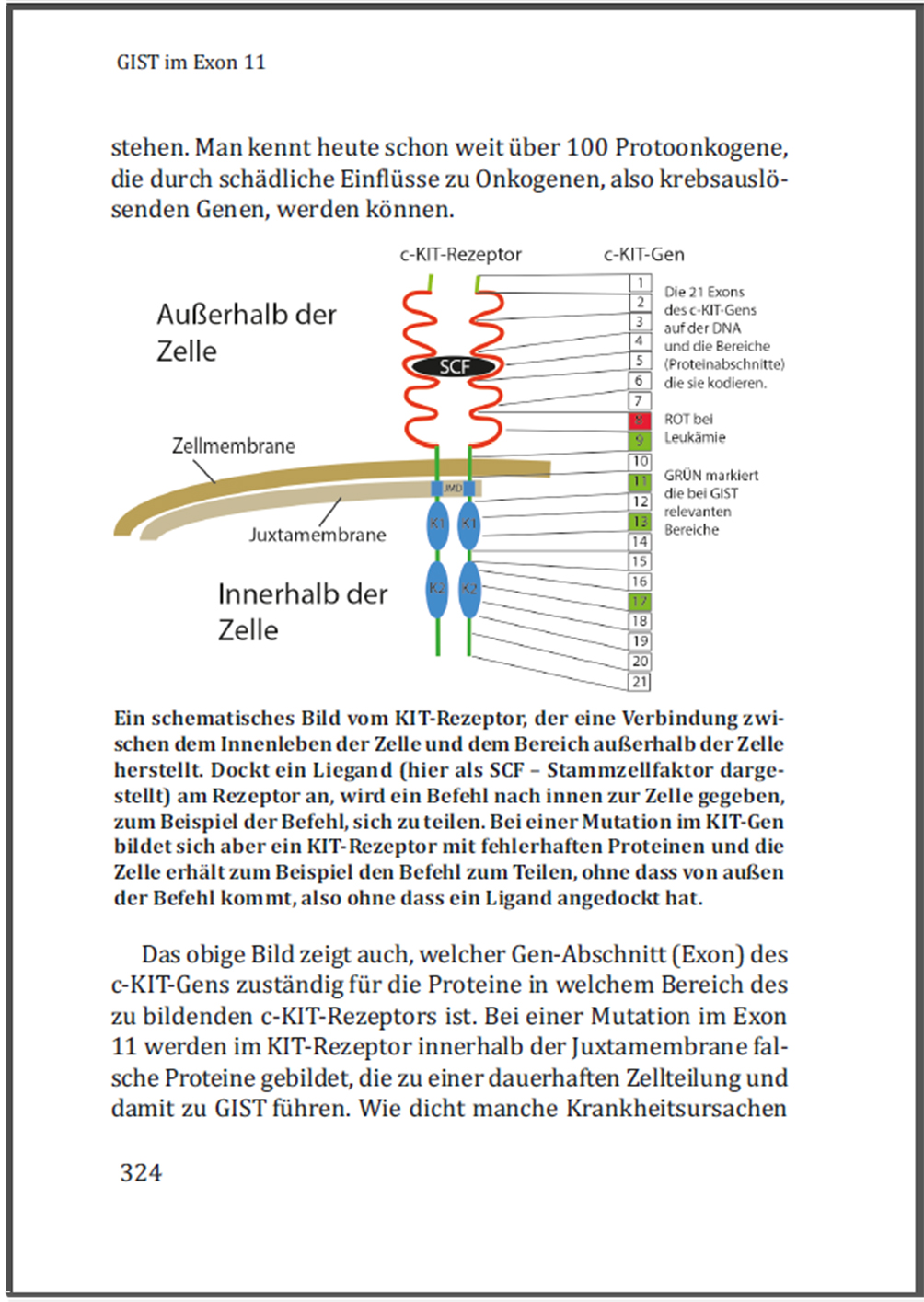 Probeseite GIST, Gene und Mutationen